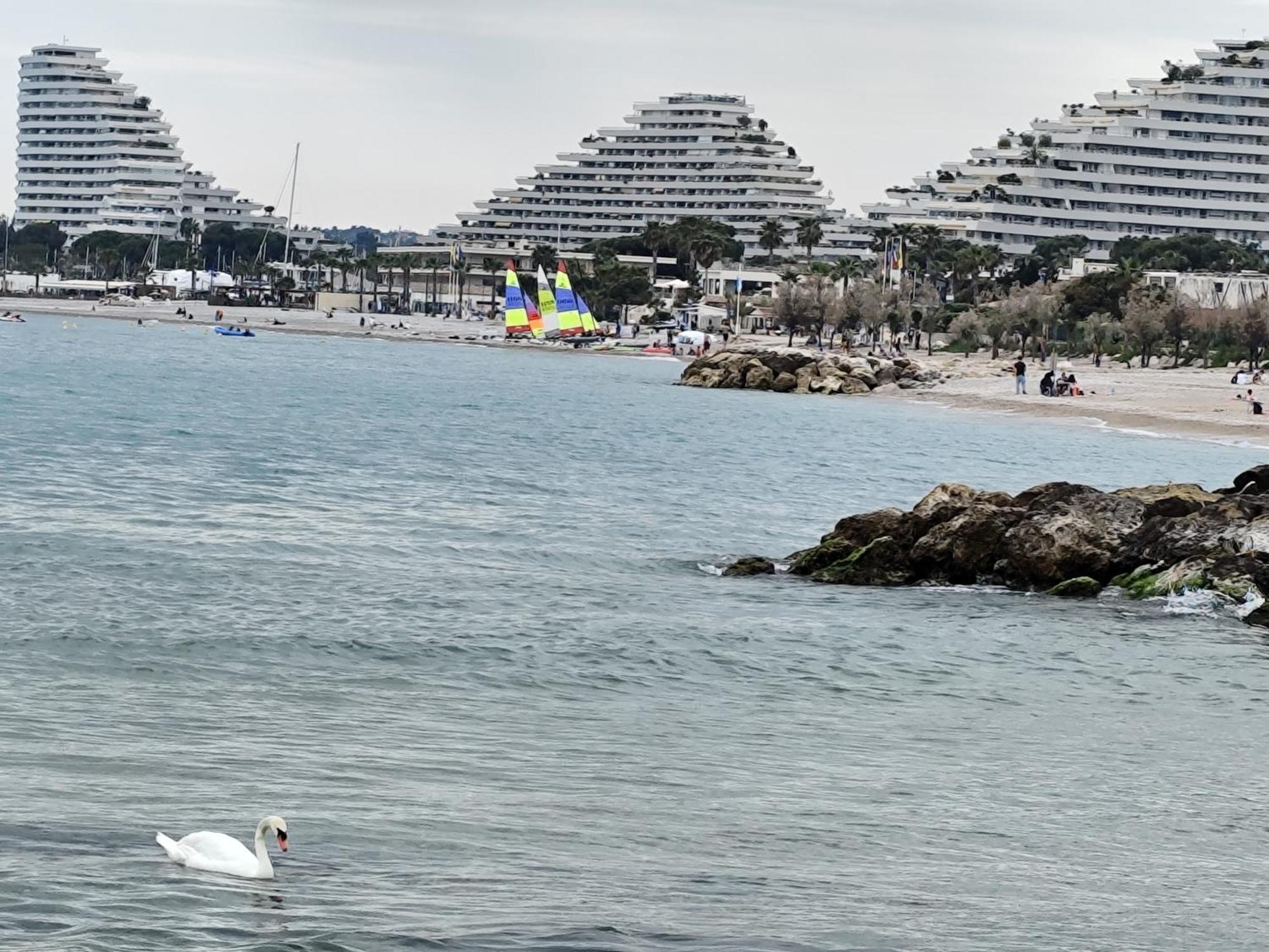 La Marina - T2 Apartment Villeneuve-Loubet Esterno foto